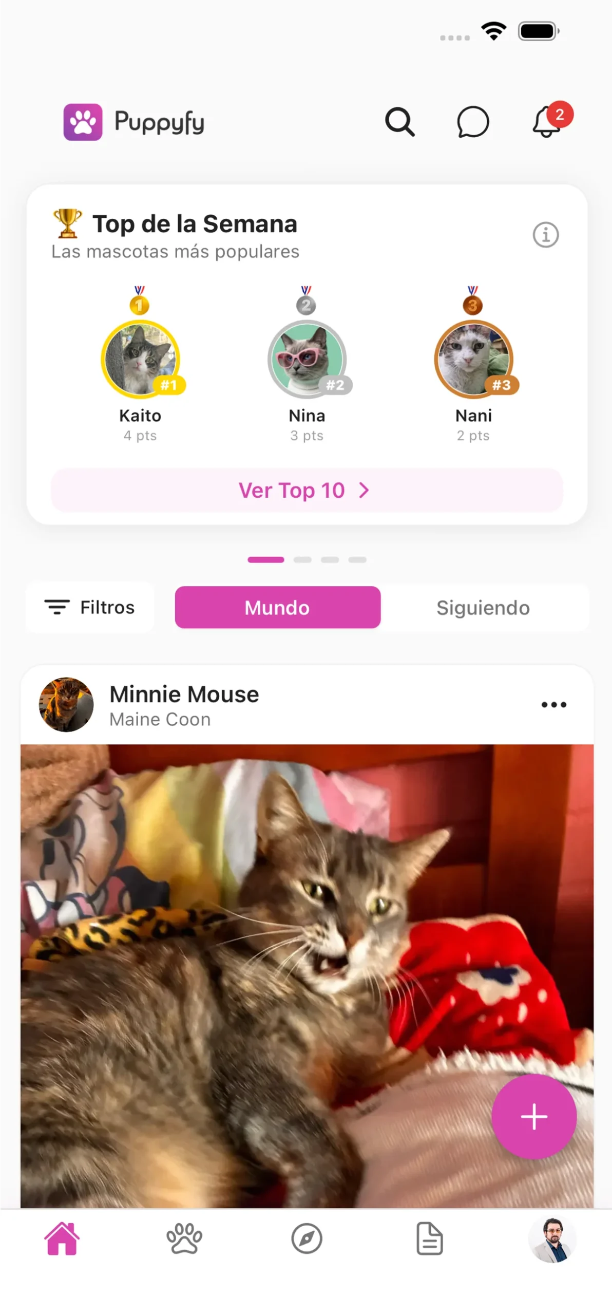 Captura de Pantalla App Puppyfy - Muro Social